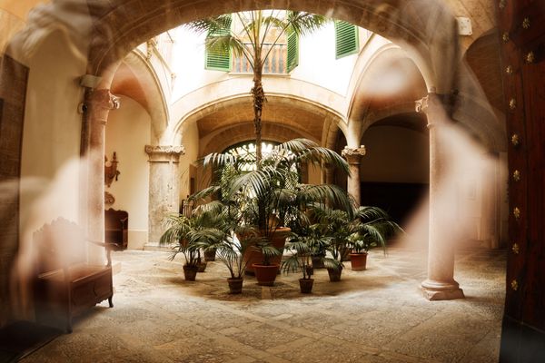 Que faire lorsque vous êtes à Palma de Majorque ?